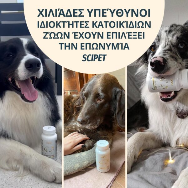 Χιλιάδες υπεύθυνοι ιδιοκτήτες κατοικίδιων ζώων έχουν επιλέξει την επωνυμία SciPet.