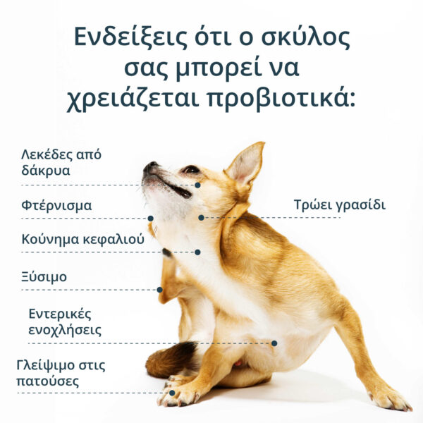 SciPet Προβιοτικά για Σκύλους - 60 τεμ. - Image 2