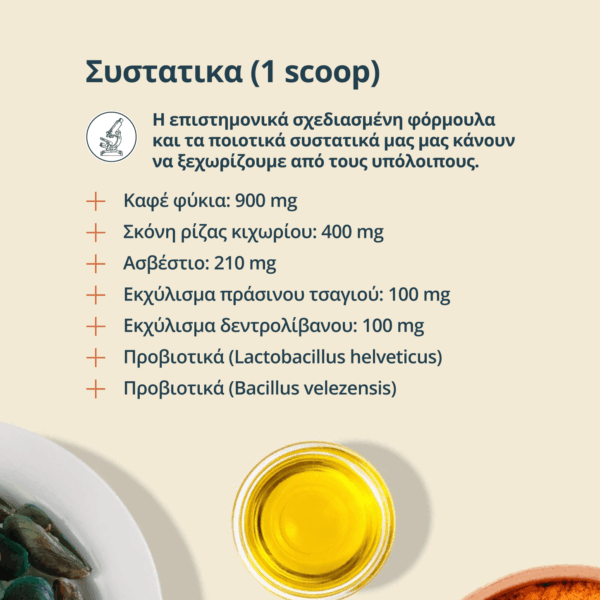 Συστατικα